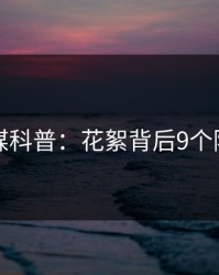 蜜桃传媒科普：花絮背后9个隐藏信号