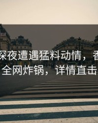 网红在深夜遭遇猛料动情，香蕉影视全网炸锅，详情直击