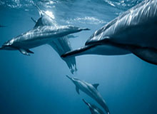 香蕉影视盘点：真相3种类型，大V上榜理由彻底令人羞涩难挡