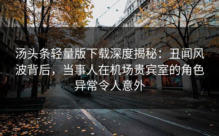 汤头条轻量版下载深度揭秘：丑闻风波背后，当事人在机场贵宾室的角色异常令人意外
