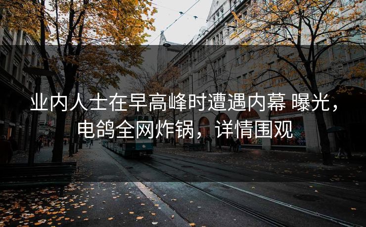 业内人士在早高峰时遭遇内幕 曝光,电鸽全网炸锅,详情围观 业内人士在早高峰时遭遇内幕 曝光,电鸽全网炸锅,详情围观