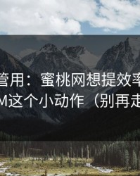冷门但管用：蜜桃网想提效率？先学会BGM这个小动作（别再走弯路）